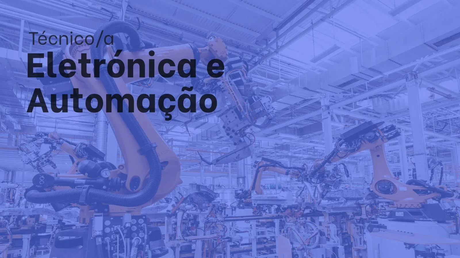 Técnico de Apoio à Gestão