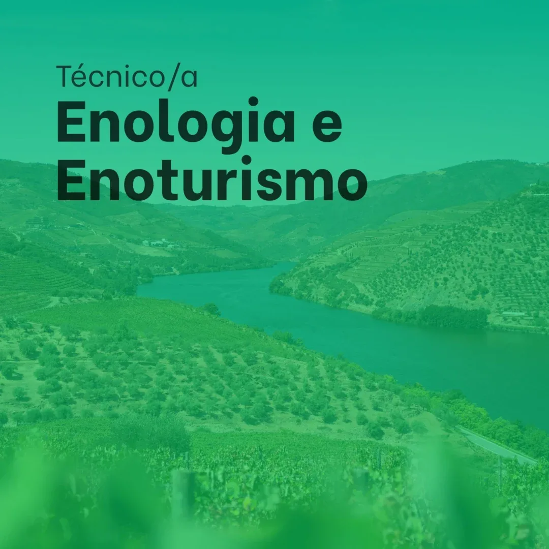 Técnico/a Enologia e Enoturismo