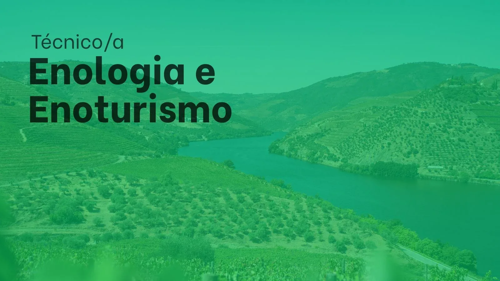 Técnico de Apoio à Gestão