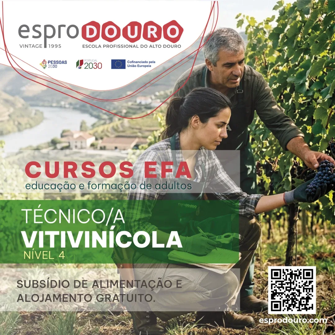 Técnico/a de Vitivinícola